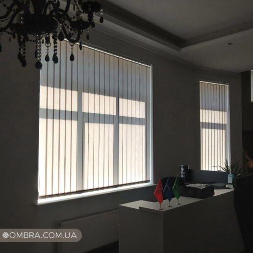 Вертикальні жалюзі Вертикальні жалюзі