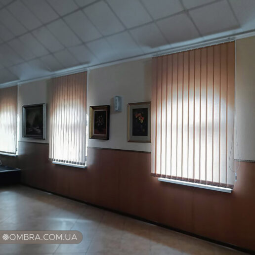 Вертикальні жалюзі в приймальню Вертикальні жалюзі в приймальню